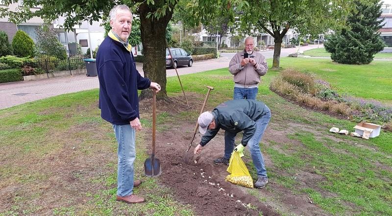 Pleinnoabers planten bollen