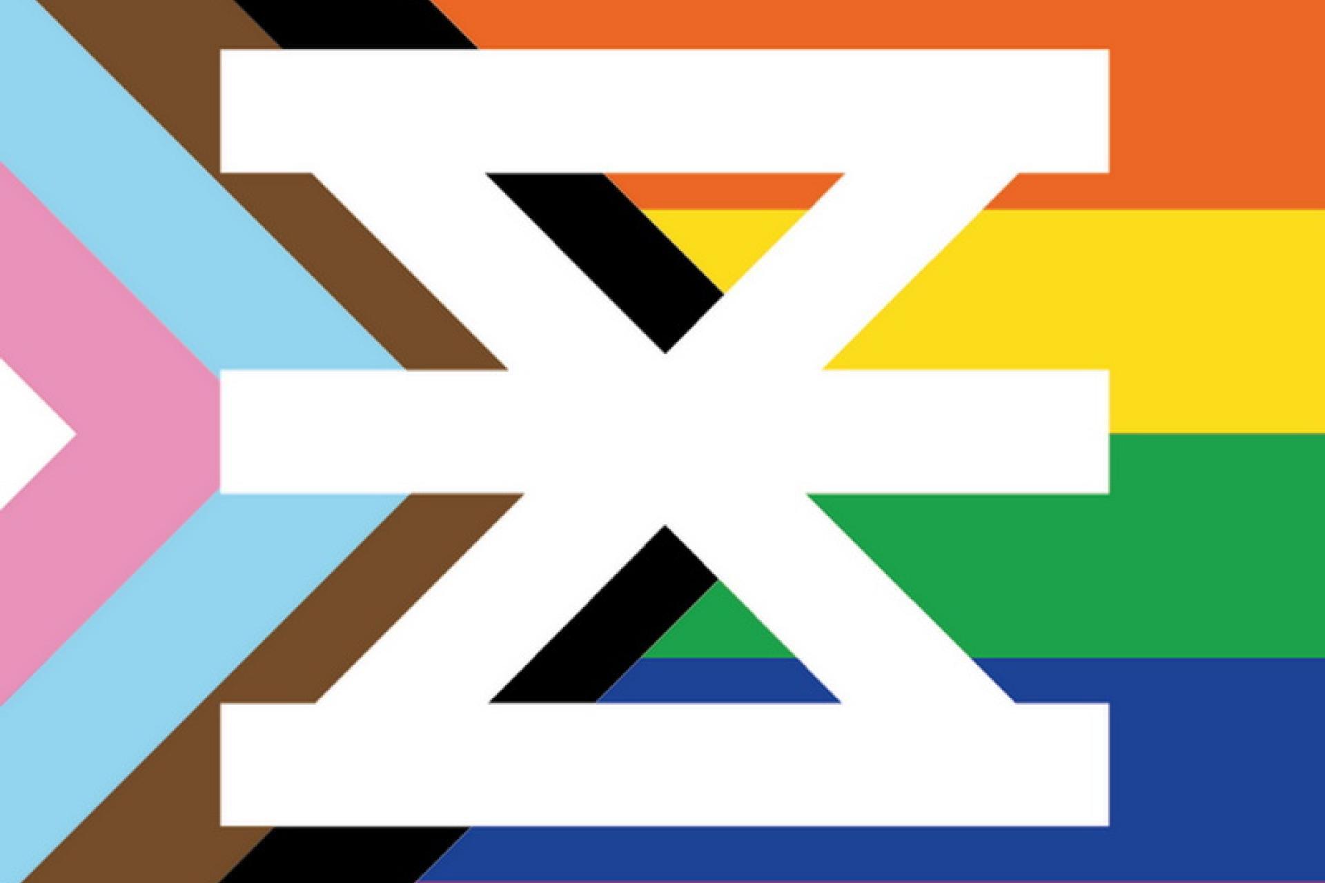 Regenboogvlag als achtergrond van het Enschede beeldmerk